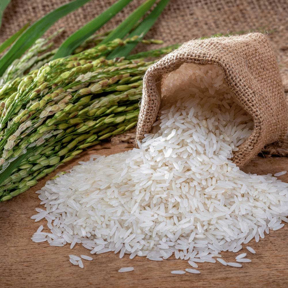 pro_2c0_rice.png